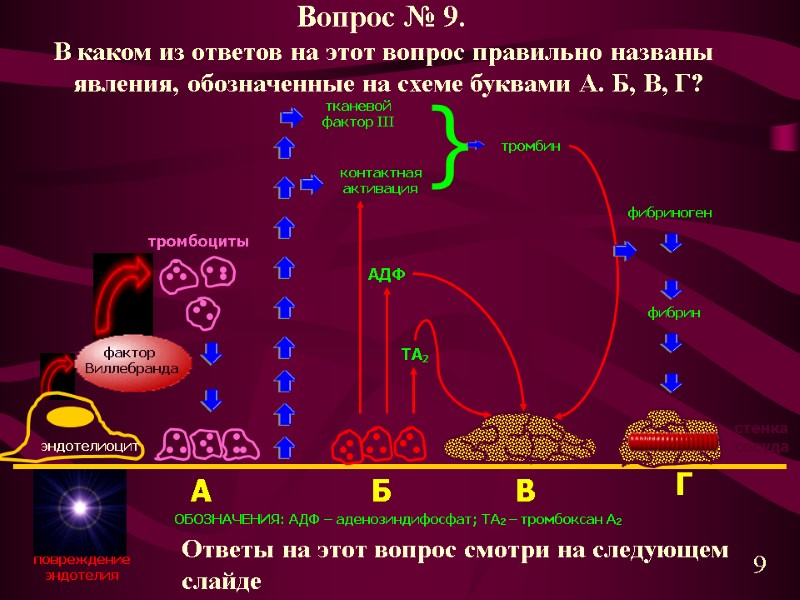 стенка сосуда эндотелиоцит тромбоциты фактор  Виллебранда А тканевой фактор III контактная активация Б